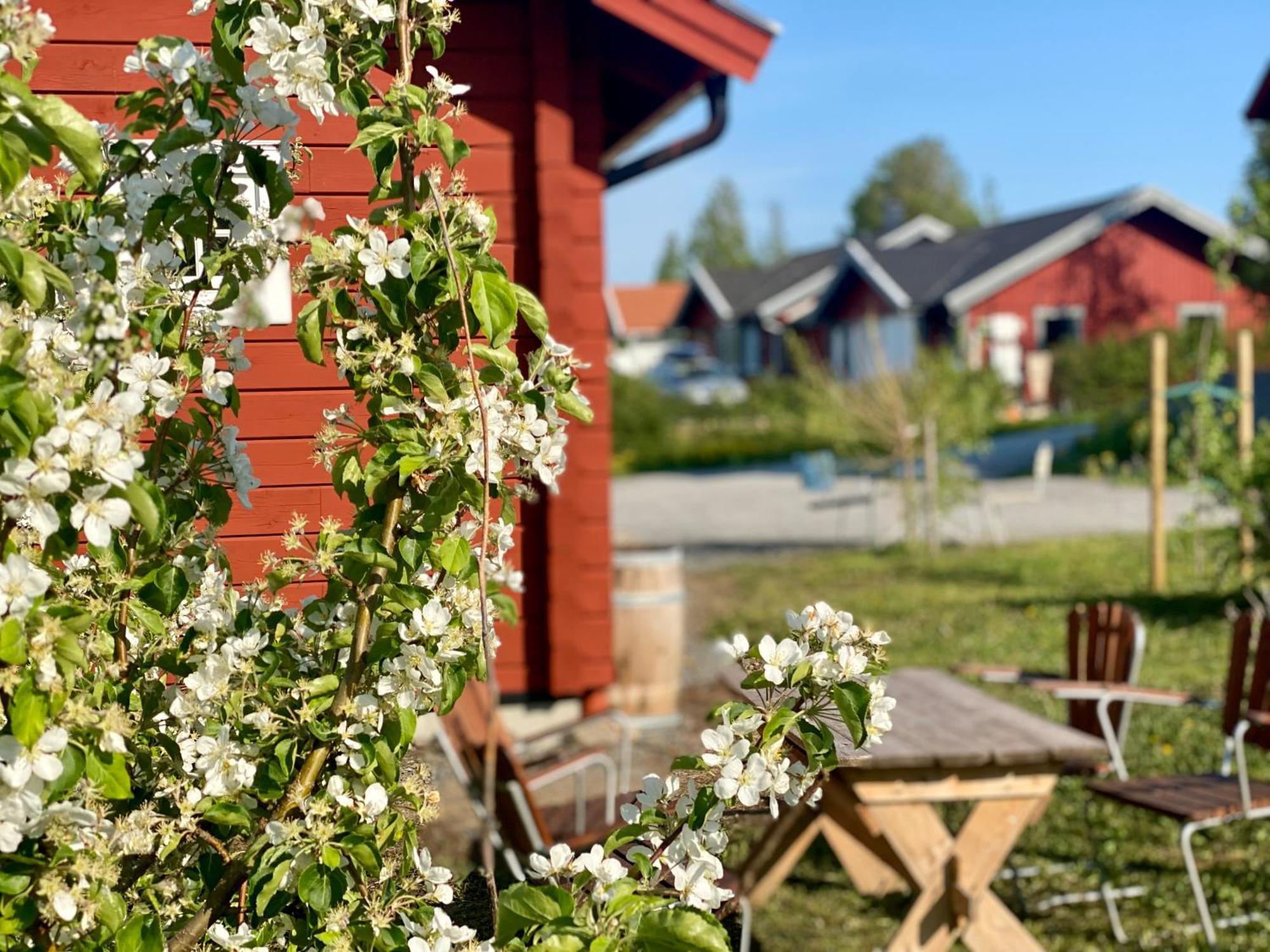 Scenic Small Guesthouse On Horse Farm By The Lake Frösö Kültér fotó